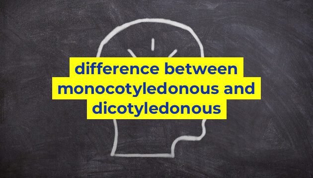 difference between monocotyledonous and dicotyledonous