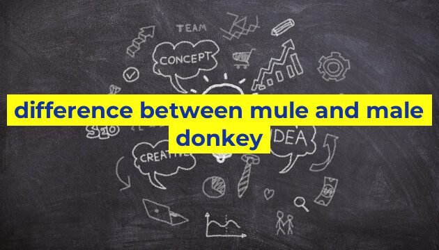 difference between mule and male donkey