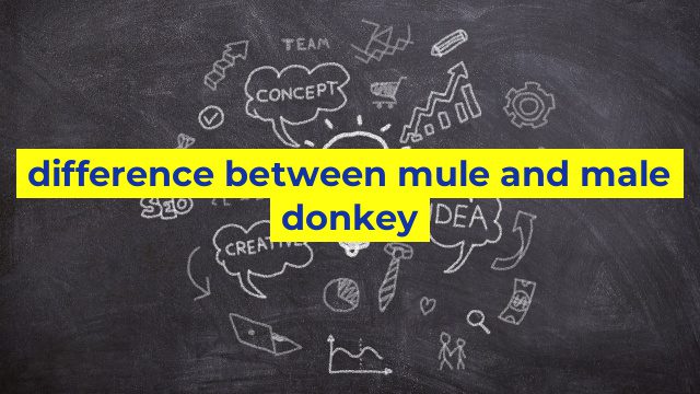 difference between mule and male donkey