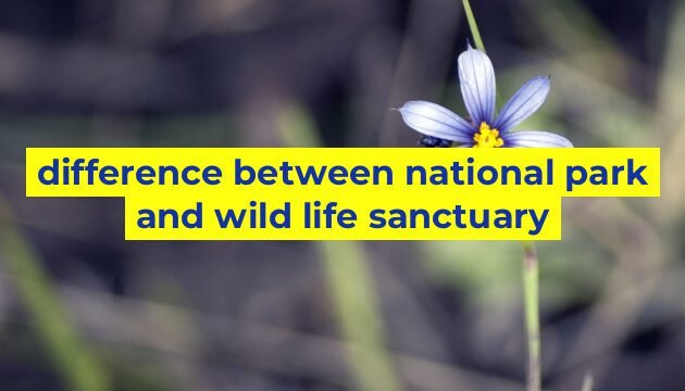 difference between national park and wild life sanctuary