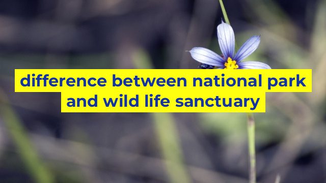 difference between national park and wild life sanctuary