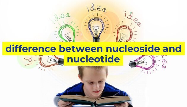 difference between nucleoside and nucleotide