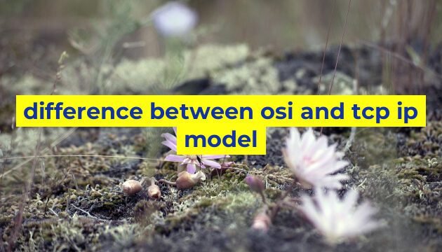 difference between osi and tcp ip model