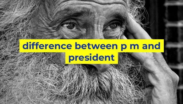 difference between p m and president