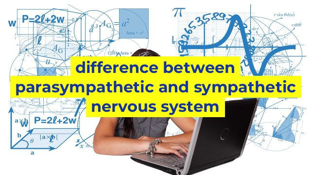 difference between parasympathetic and sympathetic nervous system