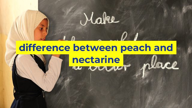 difference between peach and nectarine