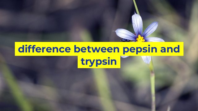 difference between pepsin and trypsin