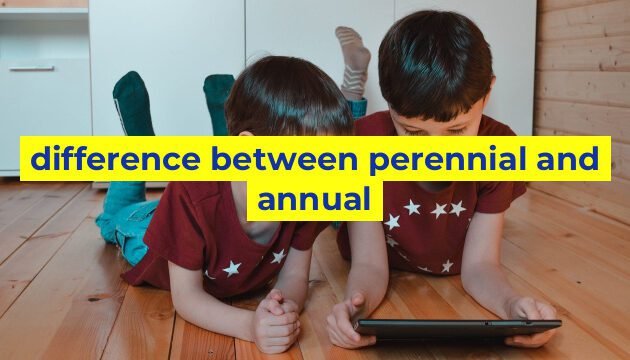 difference between perennial and annual