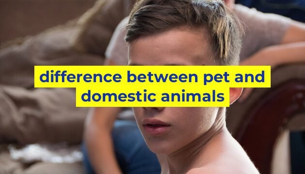 difference between pet and domestic animals