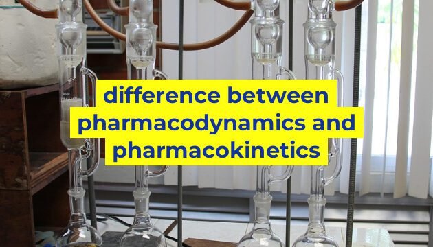 difference between pharmacodynamics and pharmacokinetics