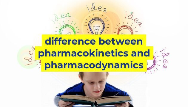 difference between pharmacokinetics and pharmacodynamics