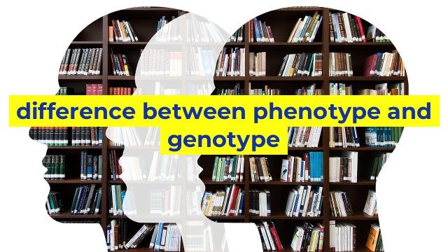 difference between phenotype and genotype