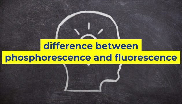 difference between phosphorescence and fluorescence