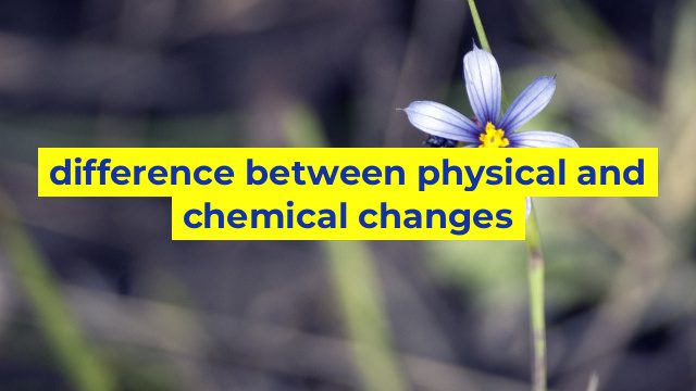 difference between physical and chemical changes