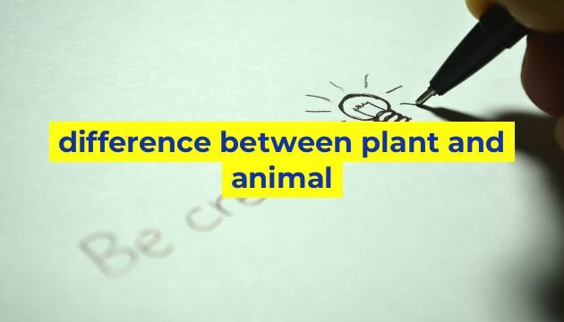 difference between plant and animal