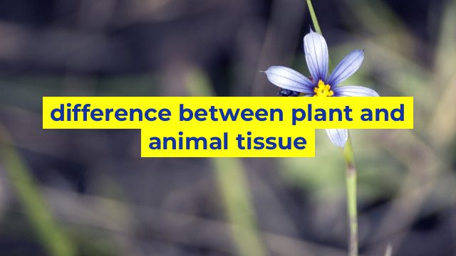 difference between plant and animal tissue