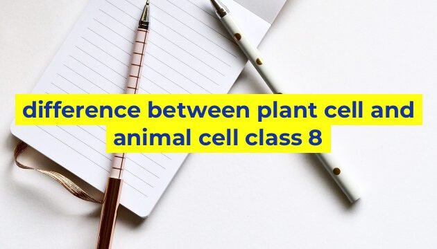 difference between plant cell and animal cell class 8