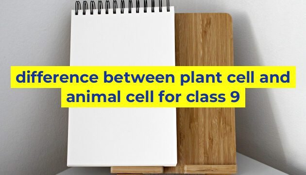 difference between plant cell and animal cell for class 9