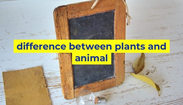 difference between plants and animal
