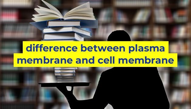 difference between plasma membrane and cell membrane