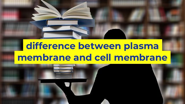 difference between plasma membrane and cell membrane