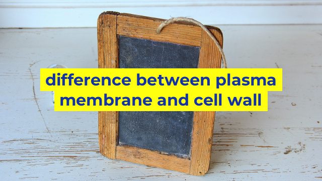difference between plasma membrane and cell wall