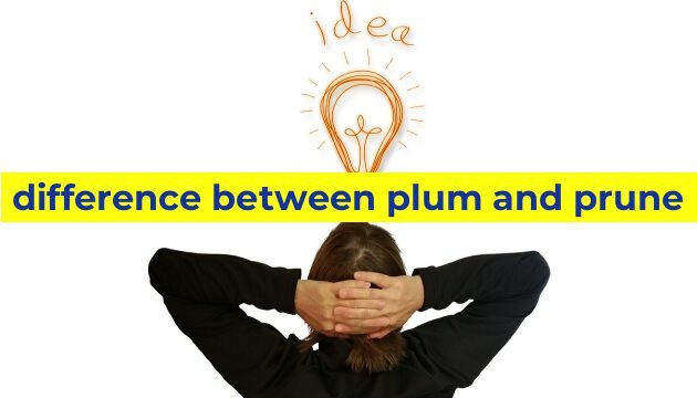 difference between plum and prune