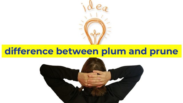 difference between plum and prune