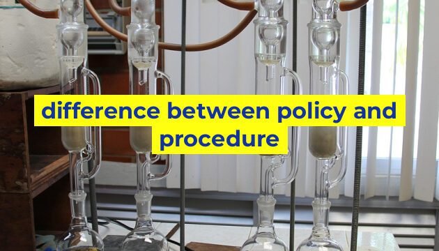 difference between policy and procedure