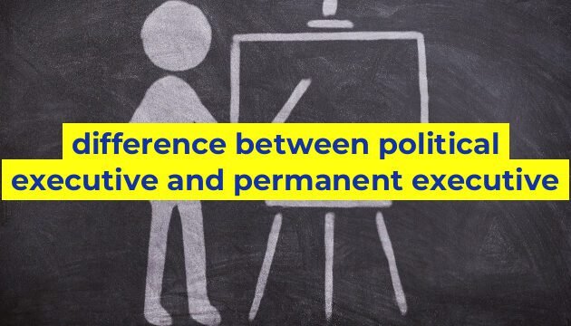 difference between political executive and permanent executive
