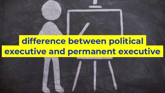 difference between political executive and permanent executive