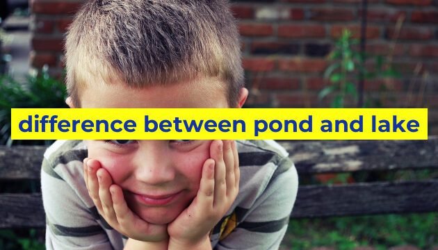 difference between pond and lake