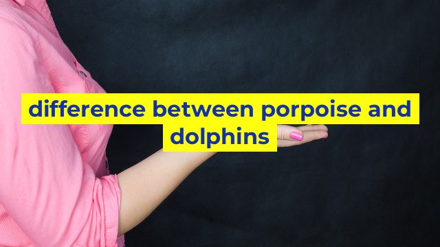 difference between porpoise and dolphins