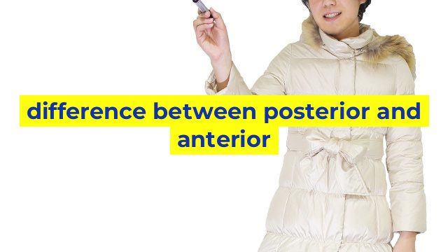 difference between posterior and anterior