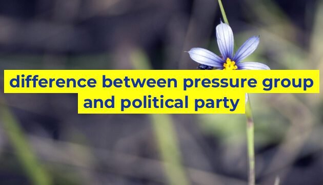 difference between pressure group and political party
