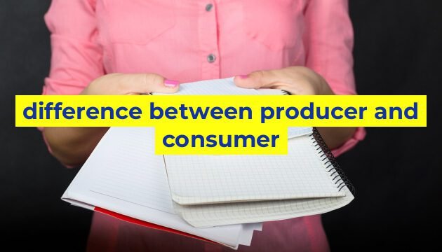 difference between producer and consumer