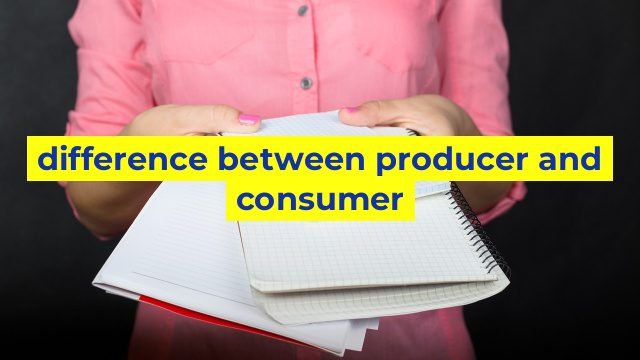 difference between producer and consumer