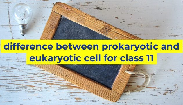 difference between prokaryotic and eukaryotic cell for class 11
