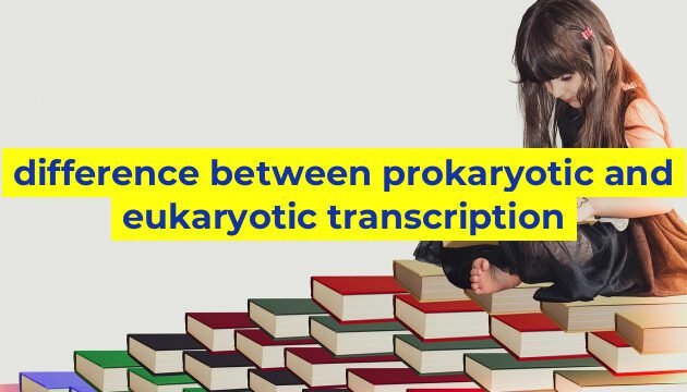 difference between prokaryotic and eukaryotic transcription