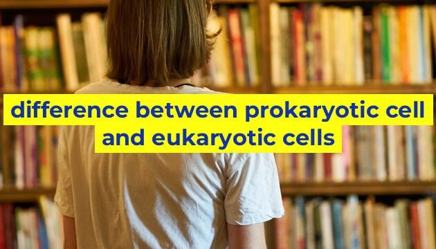 difference between prokaryotic cell and eukaryotic cells