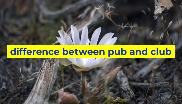 difference between pub and club