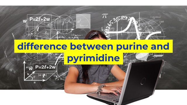 difference between purine and pyrimidine