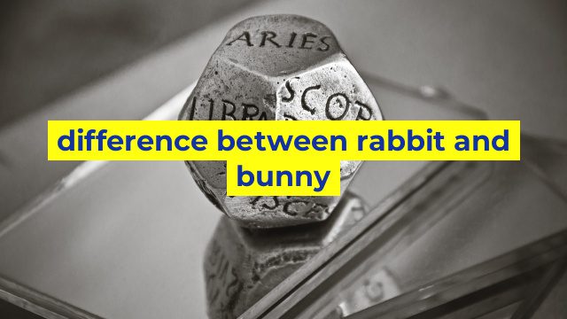 difference between rabbit and bunny