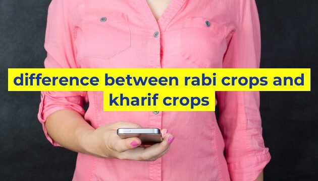 difference between rabi crops and kharif crops