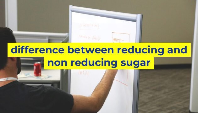difference between reducing and non reducing sugar