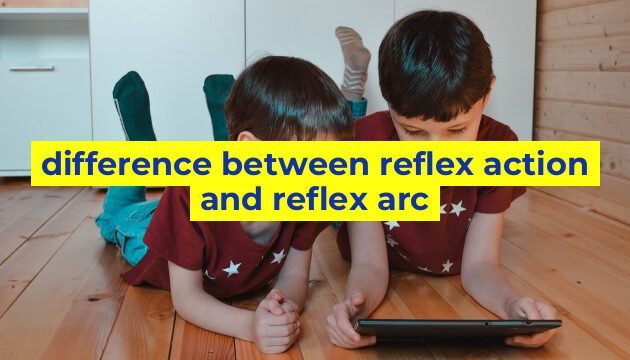difference between reflex action and reflex arc