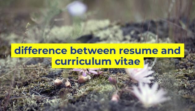difference between resume and curriculum vitae