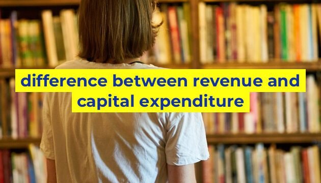 difference between revenue and capital expenditure