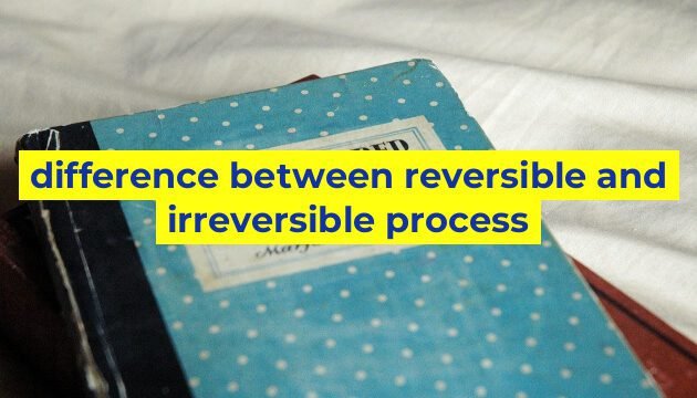 difference between reversible and irreversible process