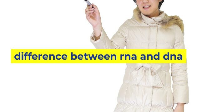 difference between rna and dna